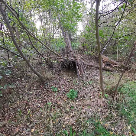 6 Person In Dannemare-by Traum Dannemare