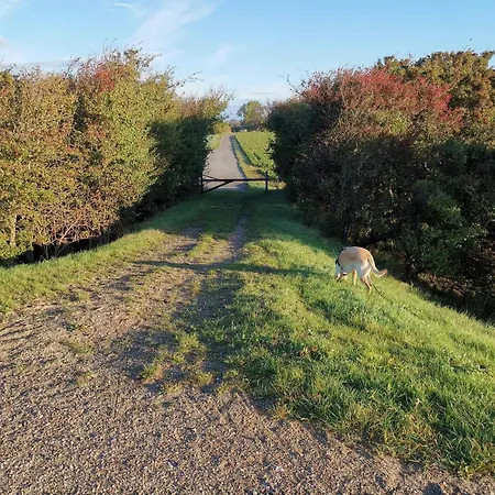 6 Person In Dannemare-by Traum 別荘 Dannemare