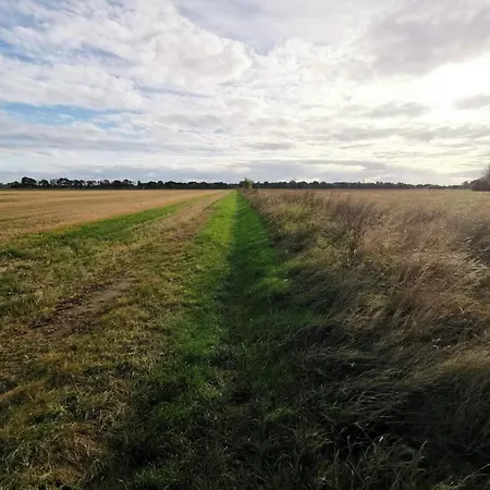 別荘 6 Person In Dannemare-by Traum Dannemare