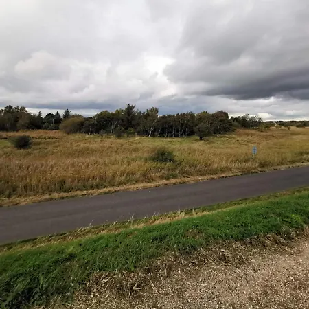 6 Person In Dannemare-by Traum * Dannemare