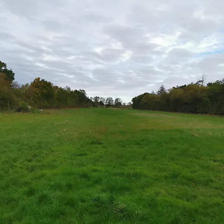 6 Person In Dannemare-by Traum *