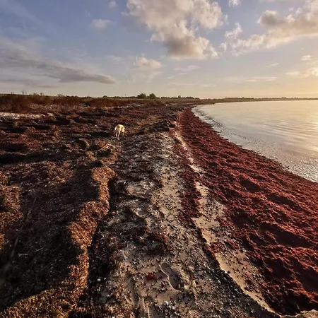 別荘 6 Person In Dannemare-by Traum Dannemare