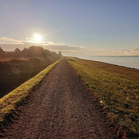 6 Person In Dannemare-by Traum * Dannemare