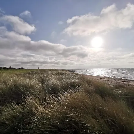 6 Person In Dannemare-by Traum