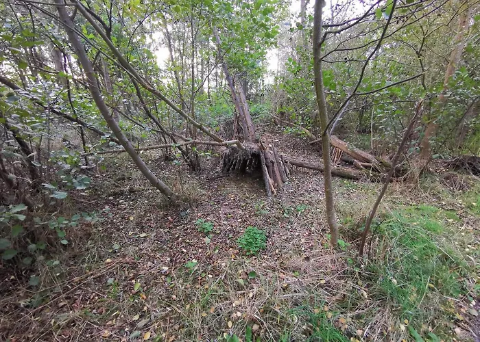 6 Person In Dannemare-by Traum Dannemare